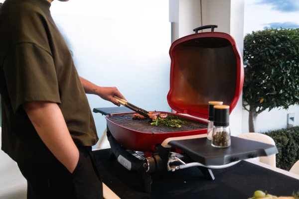 Weber BBQ